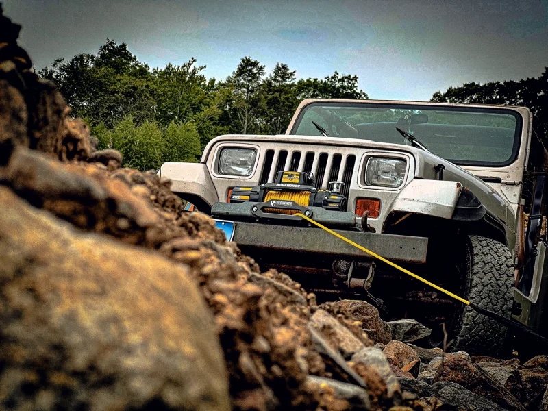 top-STINGER